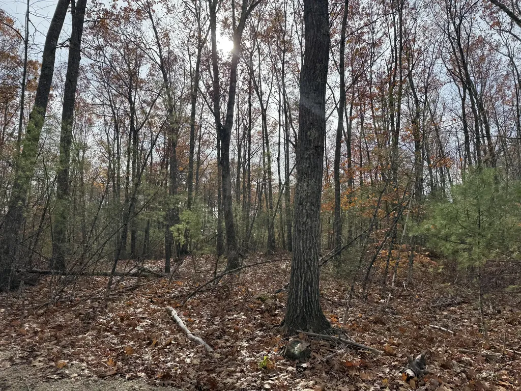 Lot 5 Street Laurent Way Shapleigh ME 04076
