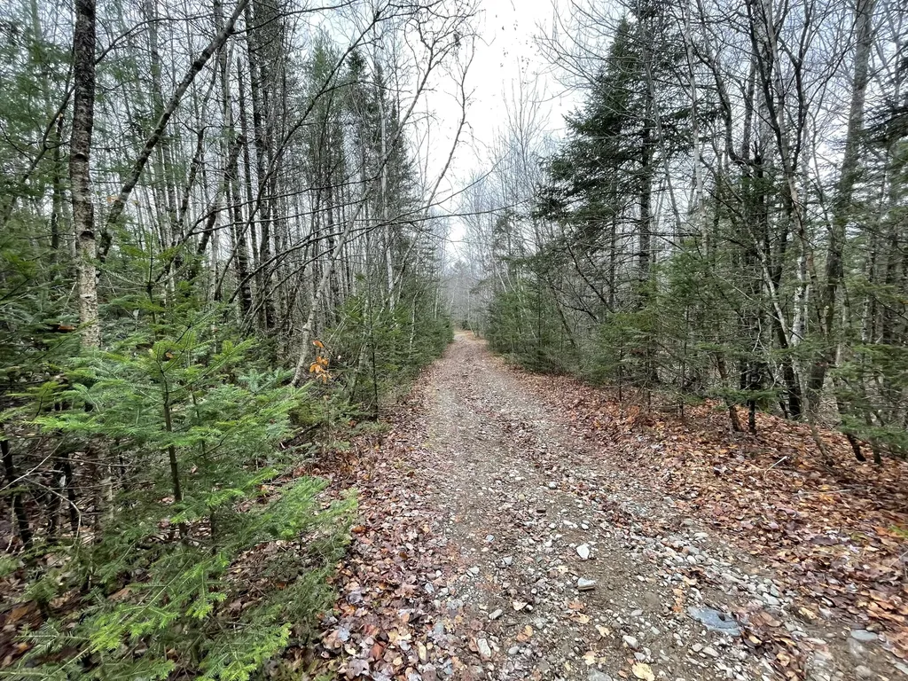 194 E Gulch Road Thorndike ME 04986