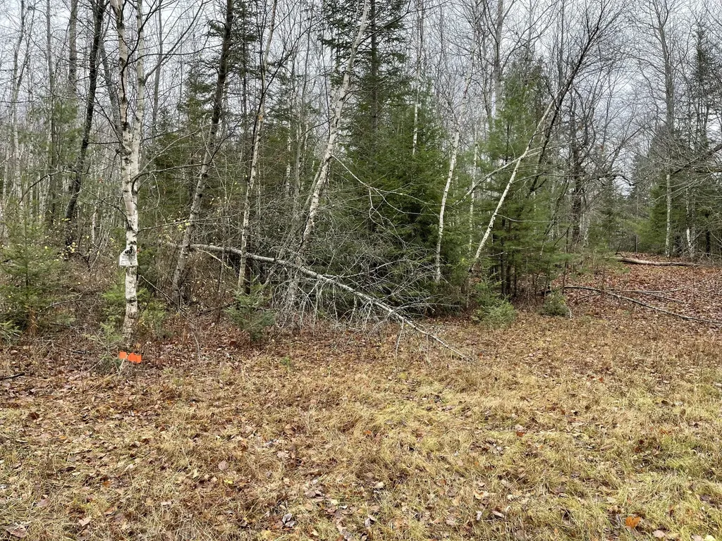 194 E Gulch Road Thorndike ME 04986