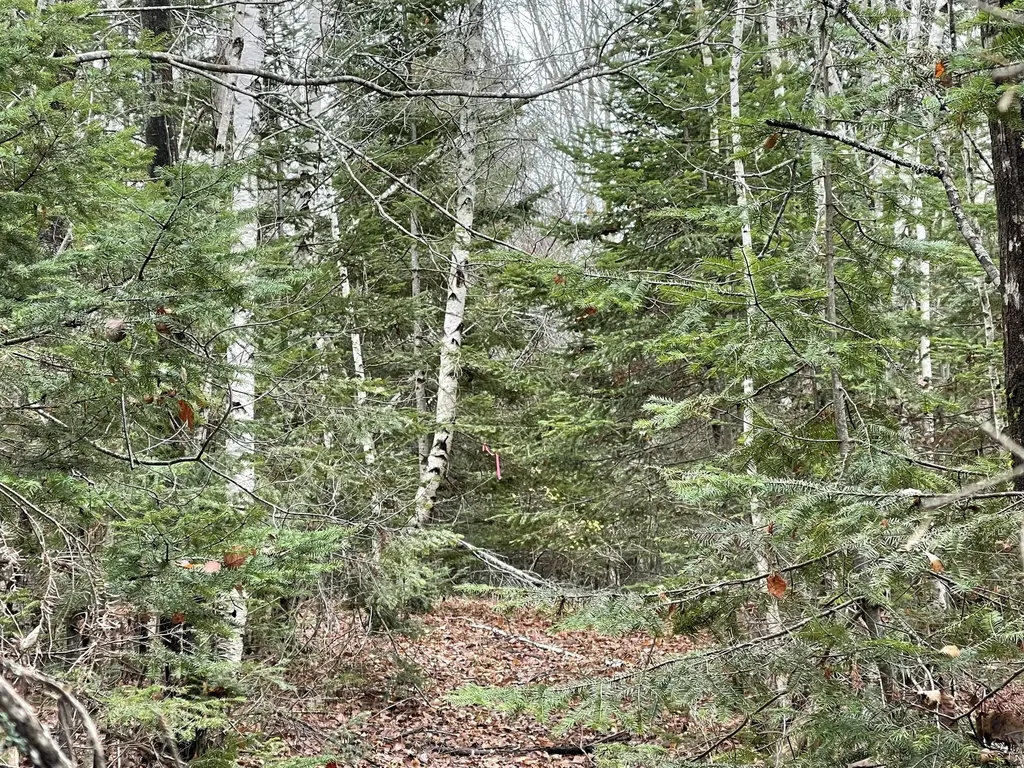 194 E Gulch Road Thorndike ME 04986
