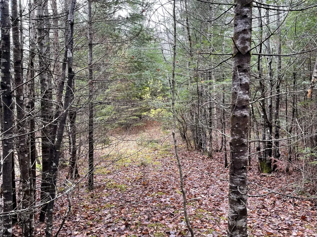 194 E Gulch Road Thorndike ME 04986