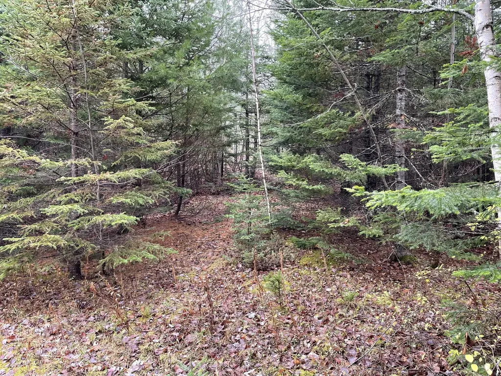 194 E Gulch Road Thorndike ME 04986