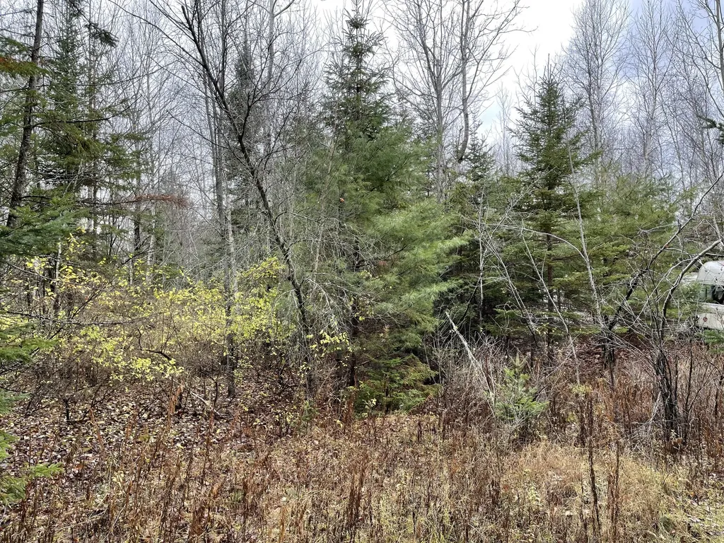 194 E Gulch Road Thorndike ME 04986