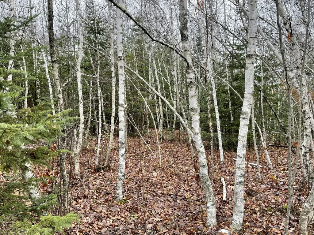 194 E Gulch Road Thorndike ME 04986