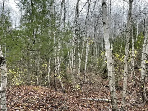 194 E Gulch Road Thorndike ME 04986