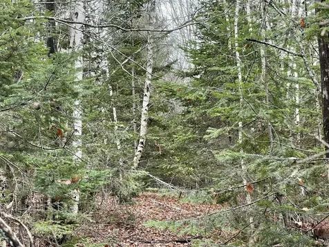 194 E Gulch Road Thorndike ME 04986