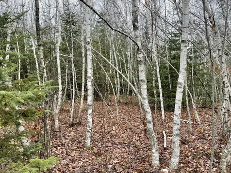 194 E Gulch Road Thorndike ME 04986