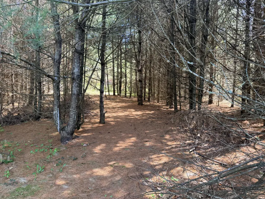 Lot 4 Emery Road Parsonsfield ME 04047