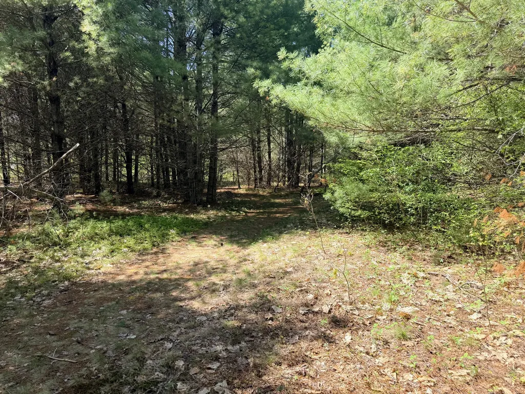Lot 4 Emery Road Parsonsfield ME 04047