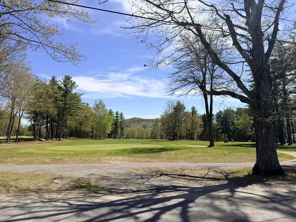 Lot 4 Emery Road Parsonsfield ME 04047