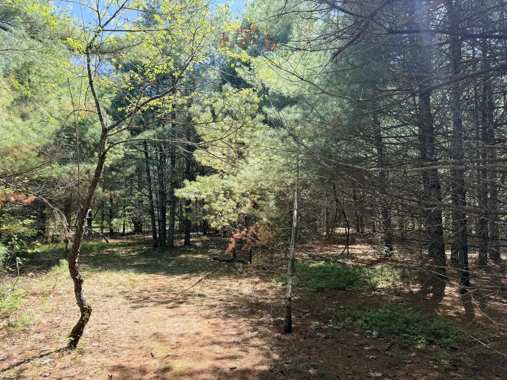 Lot 4 Emery Road Parsonsfield ME 04047