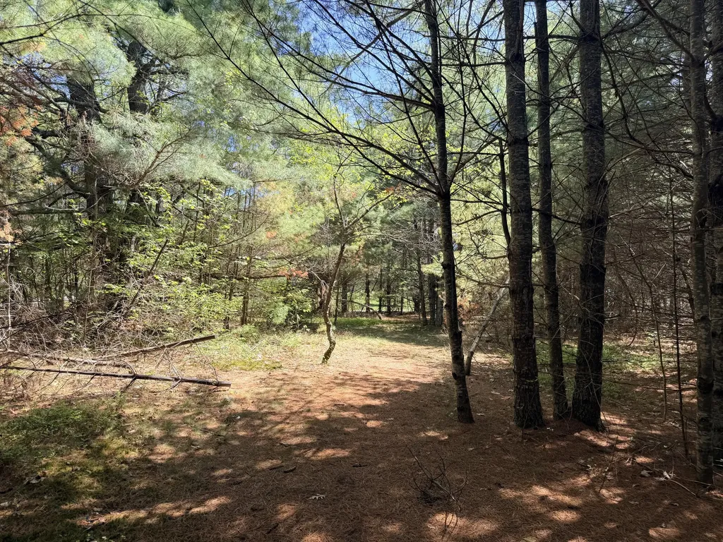 Lot 4 Emery Road Parsonsfield ME 04047