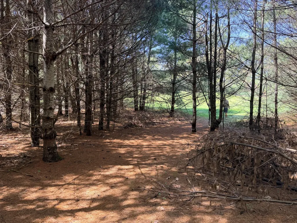 Lot 4 Emery Road Parsonsfield ME 04047