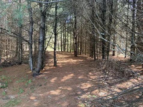 Lot 4 Emery Road Parsonsfield ME 04047