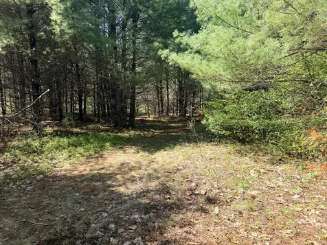 Lot 4 Emery Road Parsonsfield ME 04047