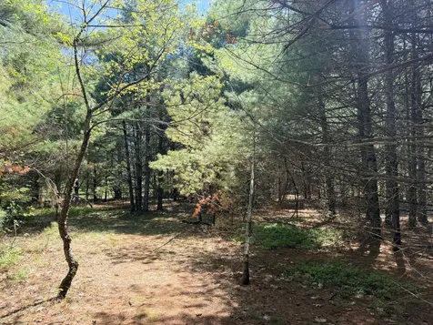 Lot 4 Emery Road Parsonsfield ME 04047