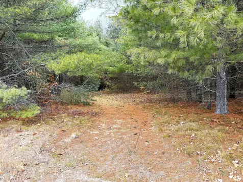 Lot 4 Emery Road Parsonsfield ME 04047