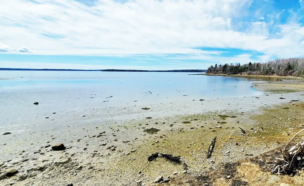 L 132 Pirates Cove Road Stockton Springs ME 04981