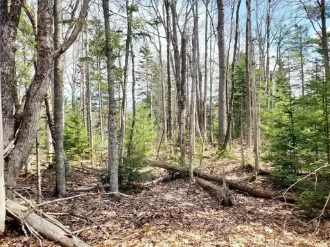 L 132 Pirates Cove Road Stockton Springs ME 04981