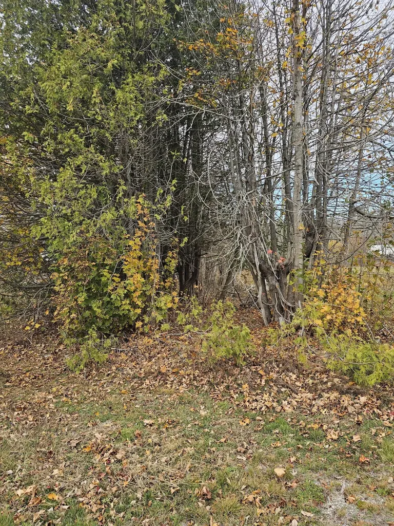 Map 15, Lot 109, Main Street Franklin ME 04634
