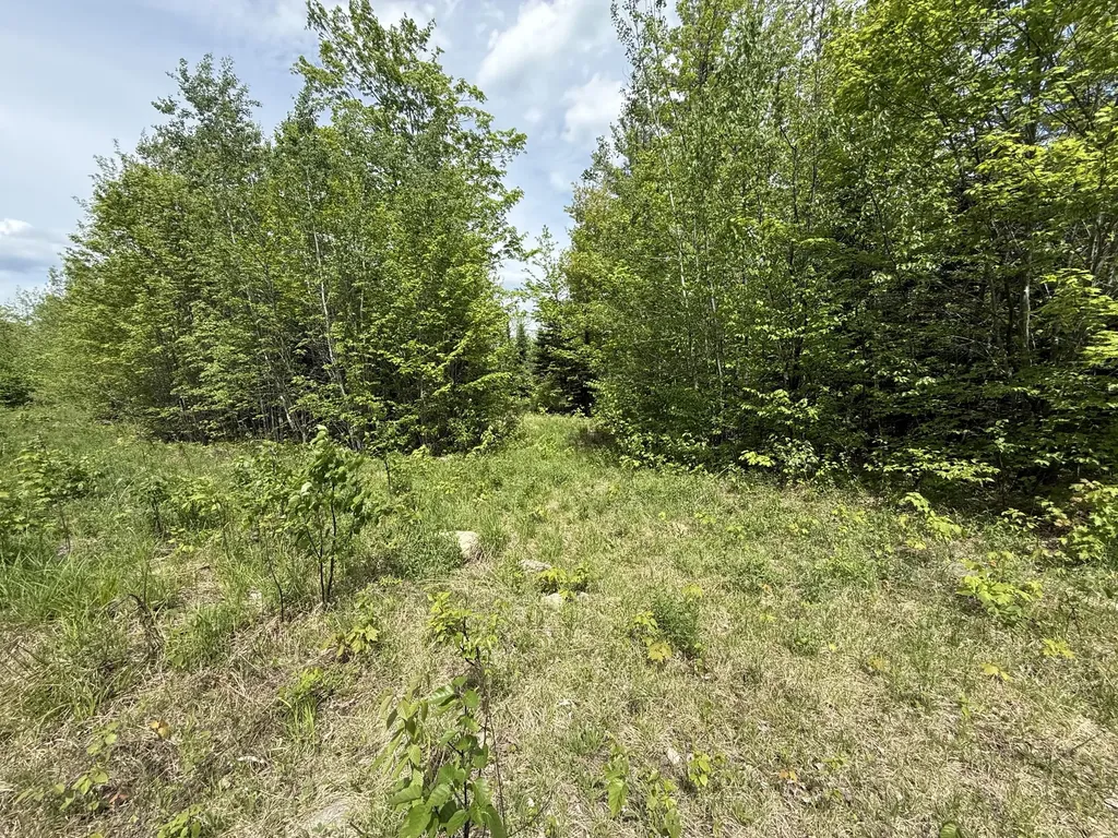 R6L9 Dickey Mills Road Avon ME 04966