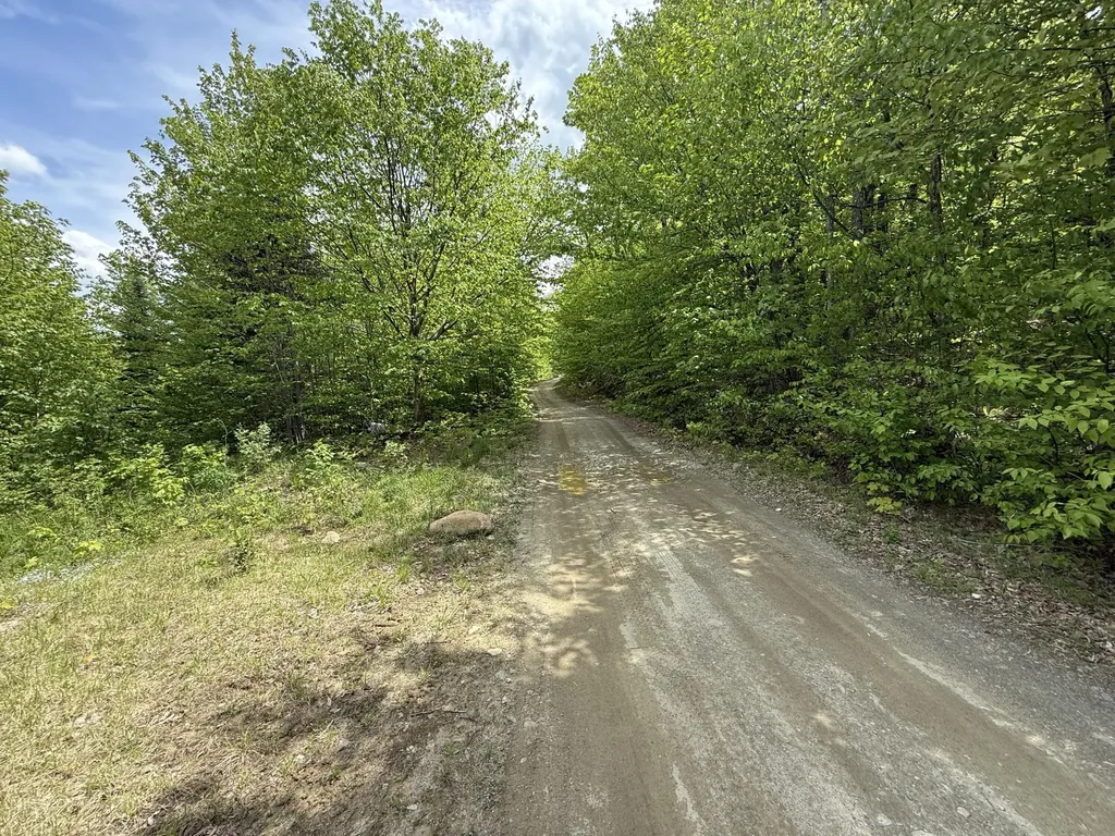 R6L9 Dickey Mills Road Avon ME 04966