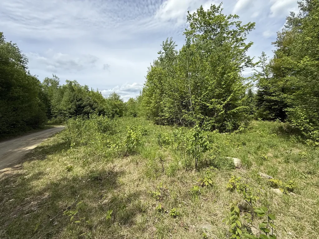 R6L9 Dickey Mills Road Avon ME 04966