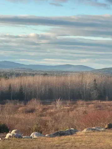 185 Dyer's Bay Road Steuben ME 04680