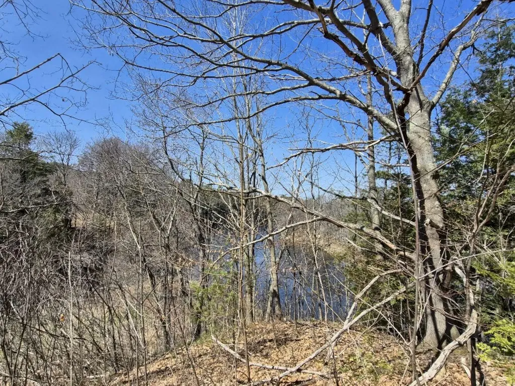 55 Cape Cod Hill Road New Sharon ME 04955
