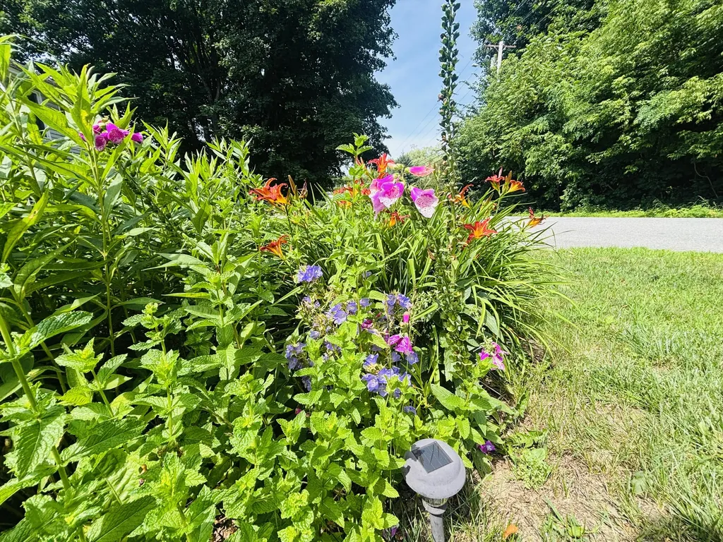 74 Zions Hill Road Dexter ME 04930