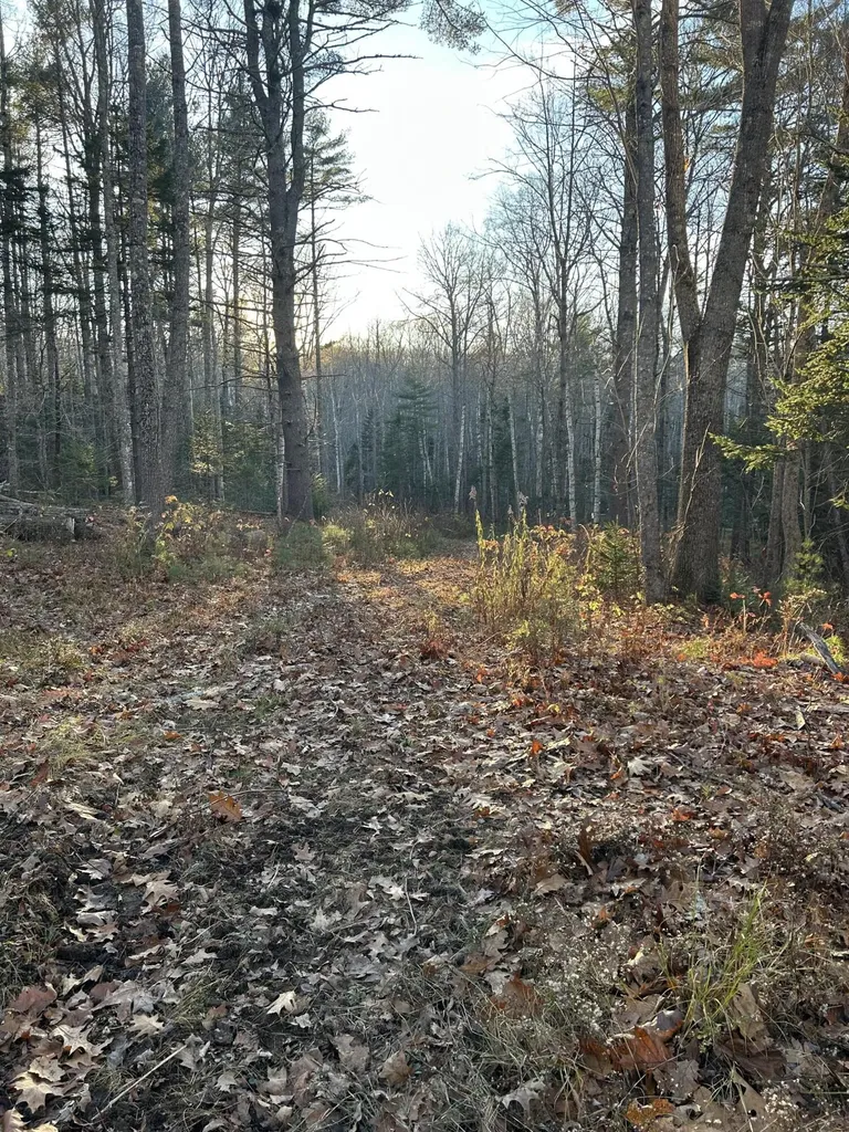 111 Start Road Camden ME 04843