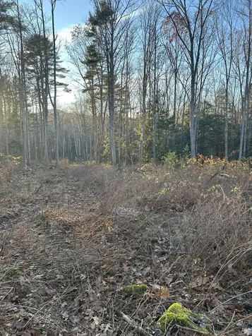 111 Start Road Camden ME 04843