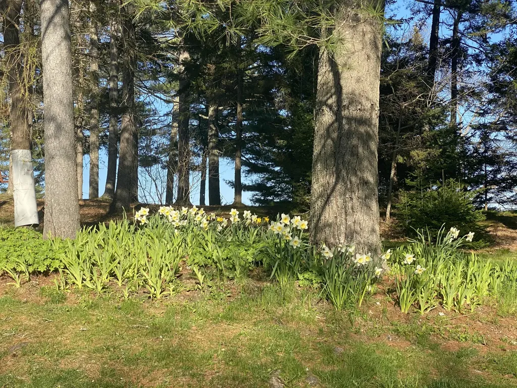 33 + 30 Taylor Road Westport Island ME 04578