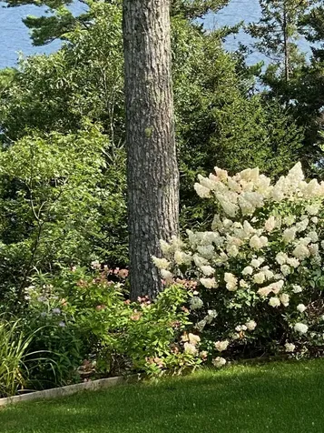 33 + 30 Taylor Road Westport Island ME 04578