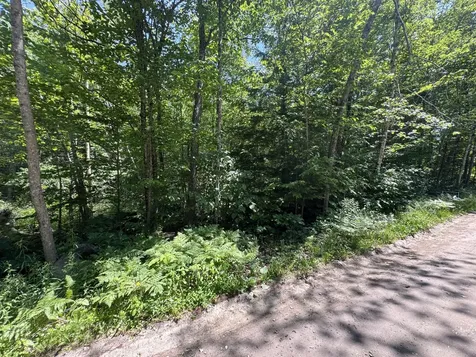 Lot 19 Thomas Pond Shore Road Casco ME 04015