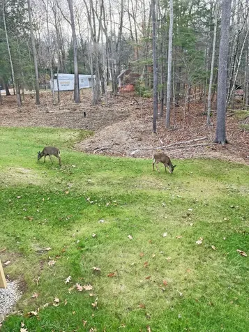 1 Friendly Way (on Land Of Nod ) Windham ME 04062