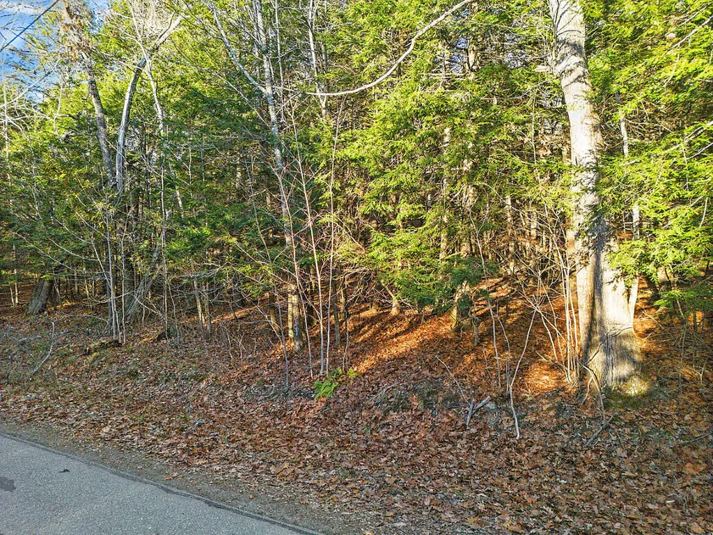 Lot 3-1 Bryant Road Unity ME 04988