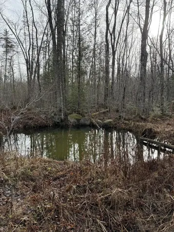 43 Whitten Road Clinton ME 04927