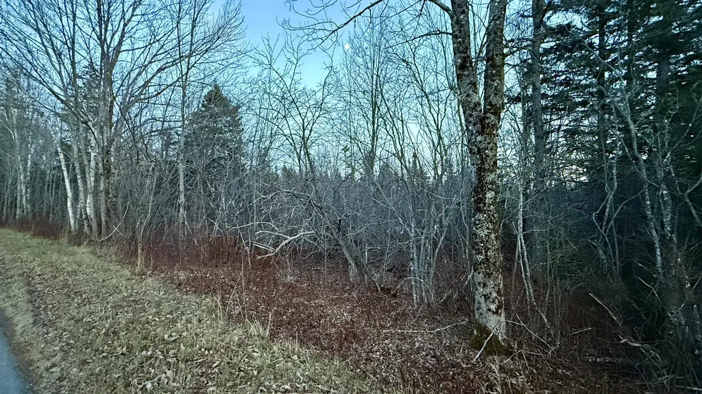 28.4 Wilcox Road Trescott Twp ME 04652