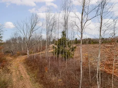 36.5 Acres Augusta Road Bowdoin ME 04287