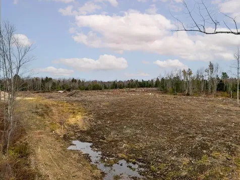 36.5 Acres Augusta Road Bowdoin ME 04287