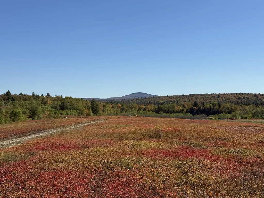 MAP19LOT28 Leach Road Penobscot ME 04476