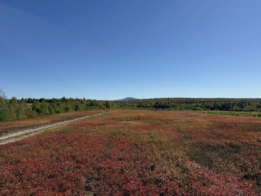 MAP19LOT28 Leach Road Penobscot ME 04476