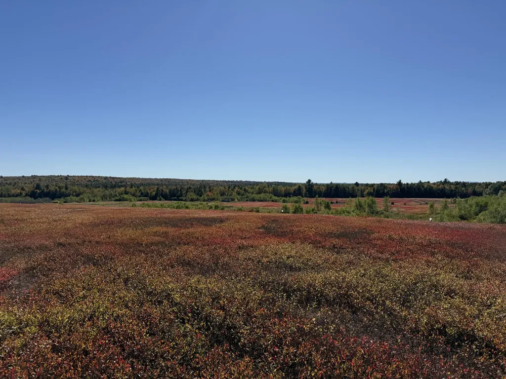 MAP19LOT28 Leach Road Penobscot ME 04476