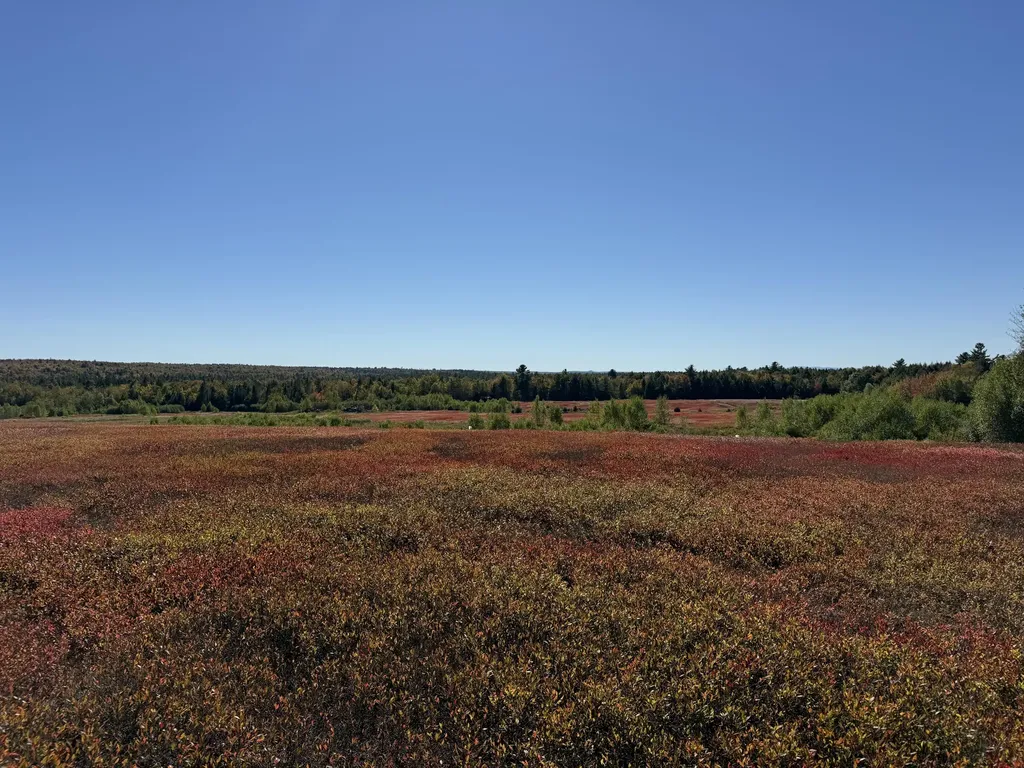 MAP19LOT28 Leach Road Penobscot ME 04476