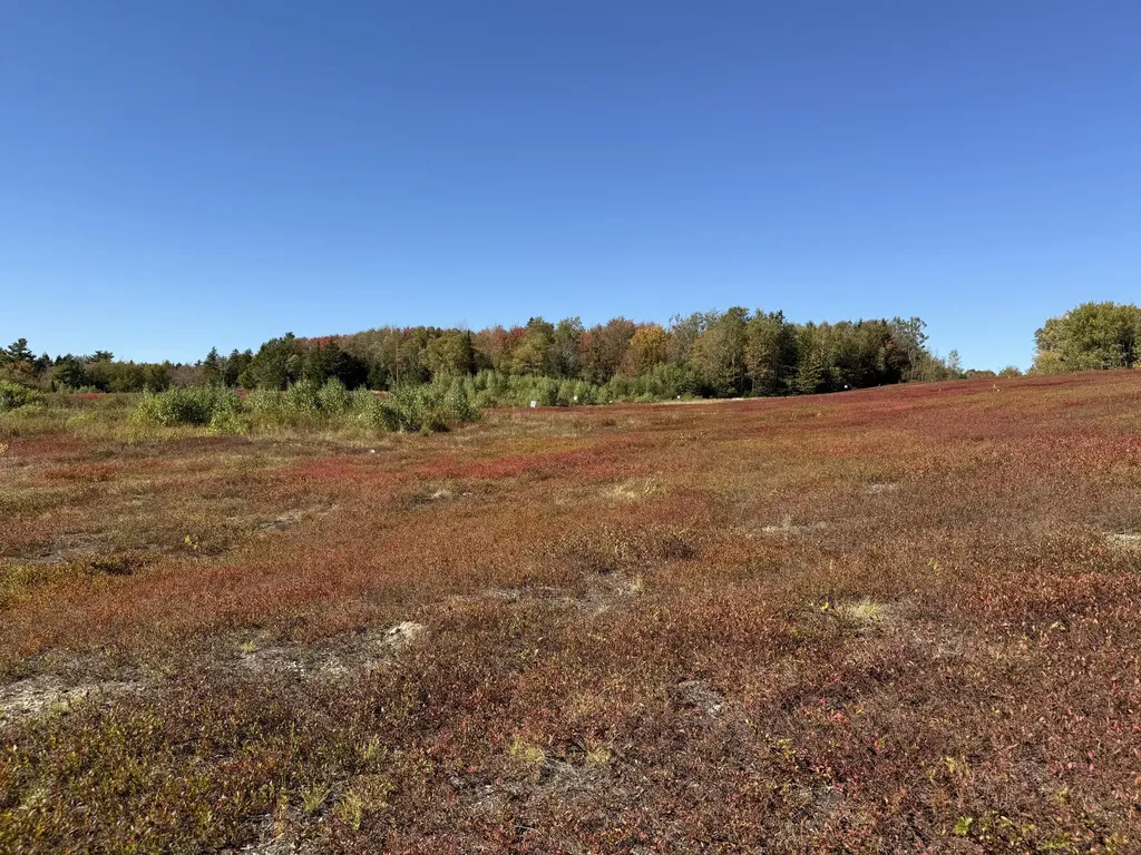 MAP19LOT28 Leach Road Penobscot ME 04476