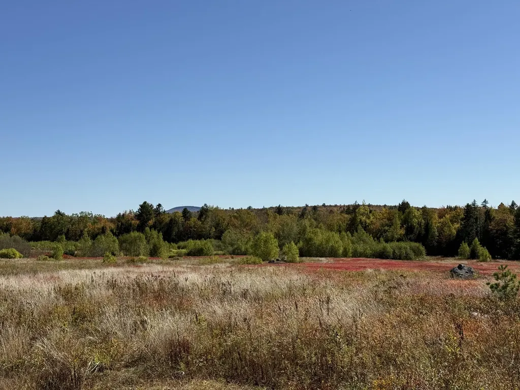 MAP19LOT28 Leach Road Penobscot ME 04476