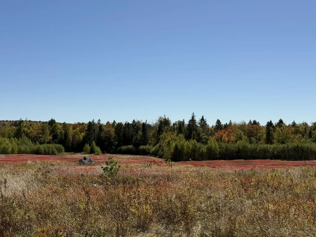 MAP19LOT28 Leach Road Penobscot ME 04476