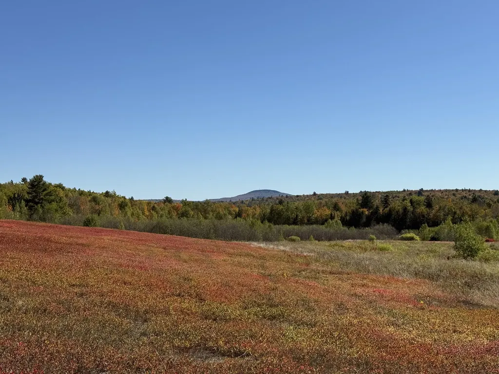 MAP19LOT28 Leach Road Penobscot ME 04476