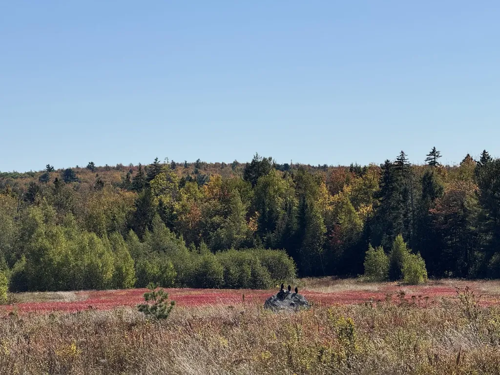 MAP19LOT28 Leach Road Penobscot ME 04476